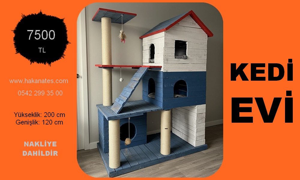 KEDİ EVİ 8