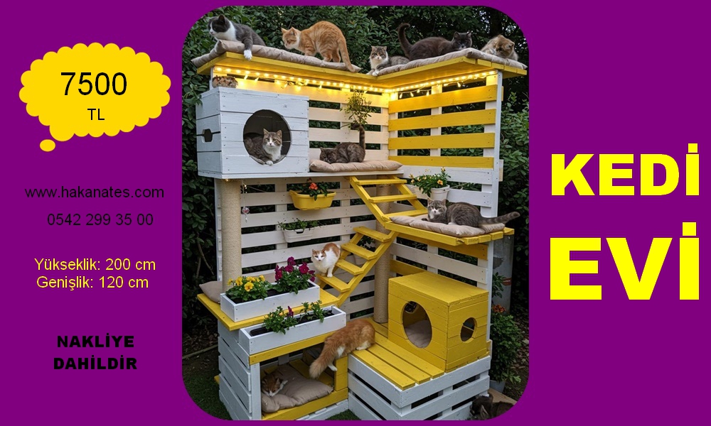 KEDİ EVİ 12 
