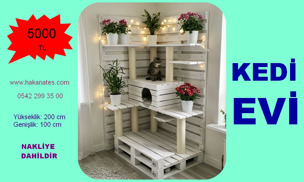 KEDİ EVİ 10 