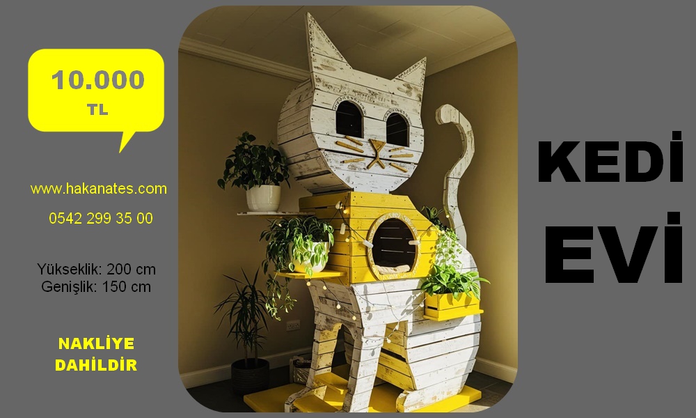 KEDİ EVİ 6 