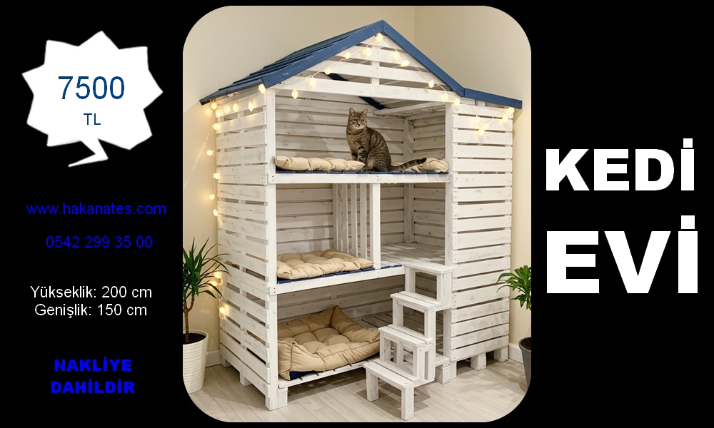 KEDİ EVİ 9