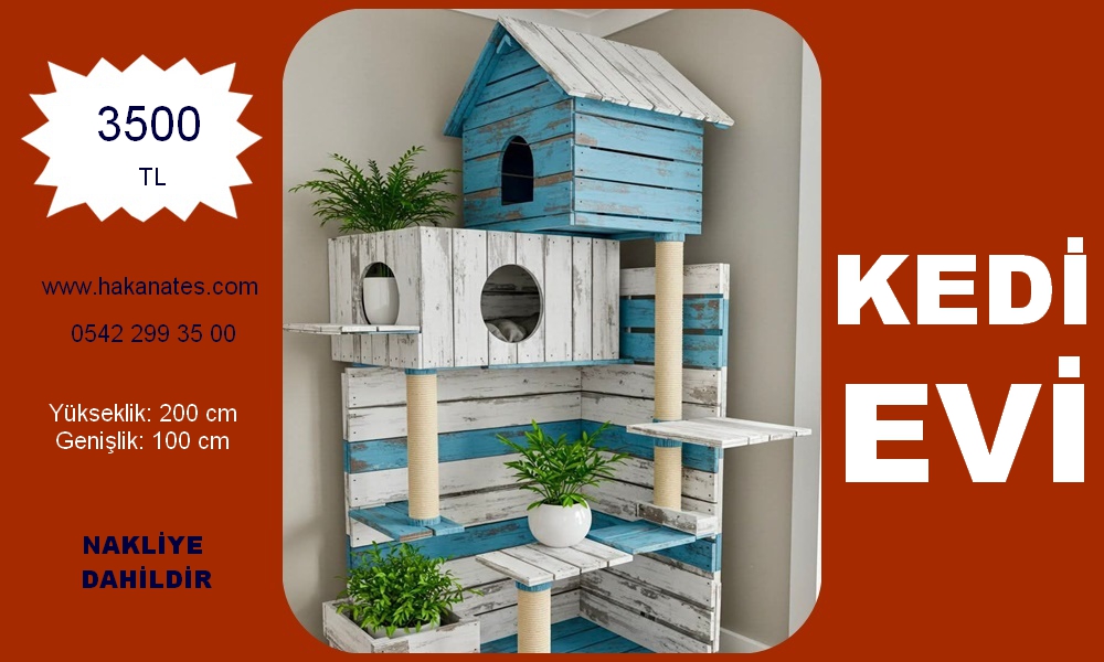 KEDİ EVİ 4