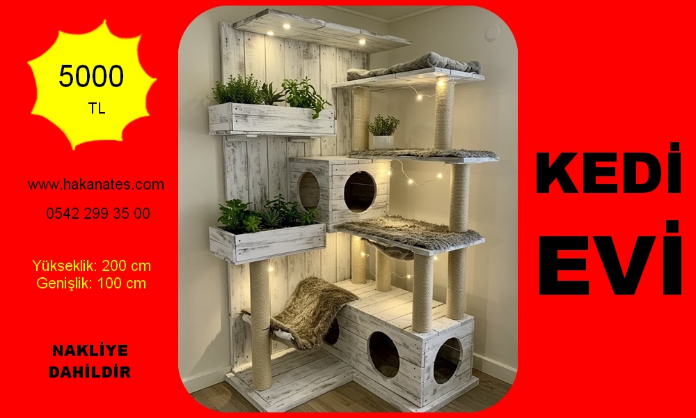 KEDİ EVİ 3