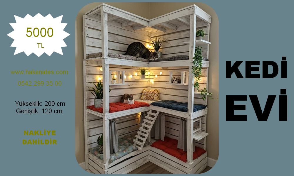 KEDİ EVİ 11