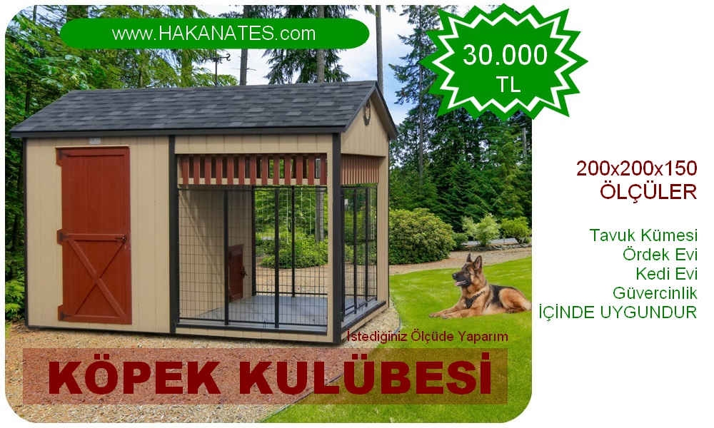 KULÜBE 3