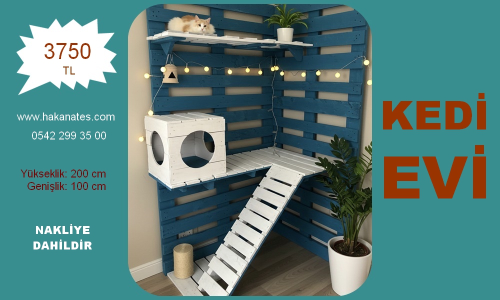 KEDİ EVİ 1