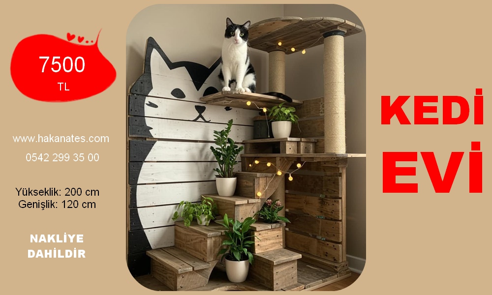 KEDİ EVİ 7 