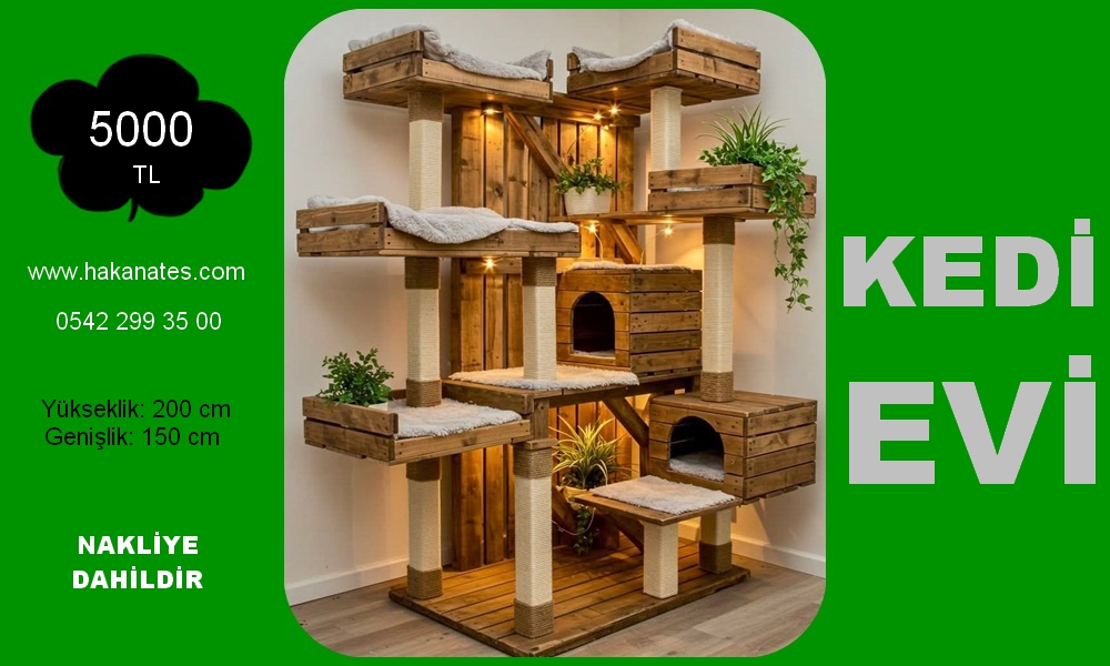 KEDİ EVİ 2