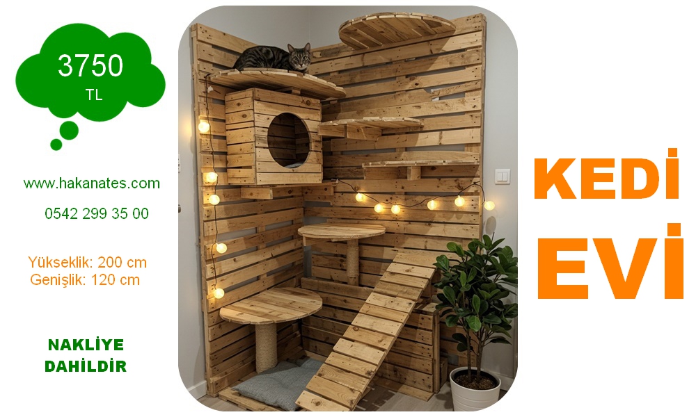 KEDİ EVİ 5